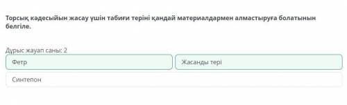 Сәндік-қолданбалы өнерде дәстүрлі емес және заманауи материалдарды қолданып бұйым жасау. 2-сабақ Тор