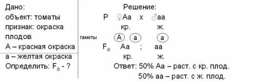 Плоды томатов бывают красные и желтые.Какое потомство можно ожидать от скрещивания гетерозиготных то