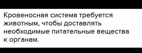 n.1 1. Что относится к транспортной системе животных? 2. Каково значение транспорта у растений? n.2