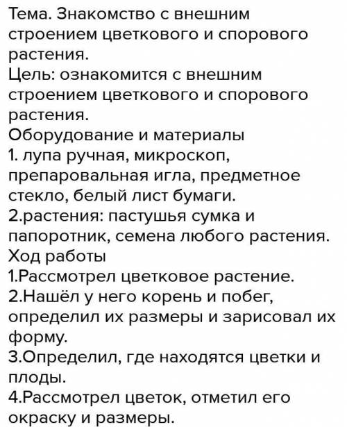 Кто тому подписка + просто умоляю врямя (у меня) 2 часа ночи, а я всё это делаю ​