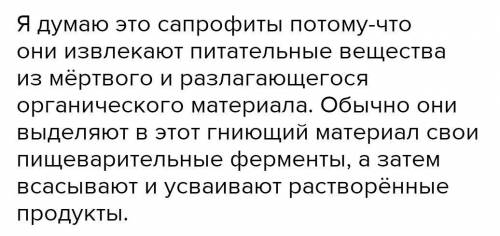 кто знает! кстати сейчас будет халява кто хочет лишние балы смотрите на следующий вопрос:)))