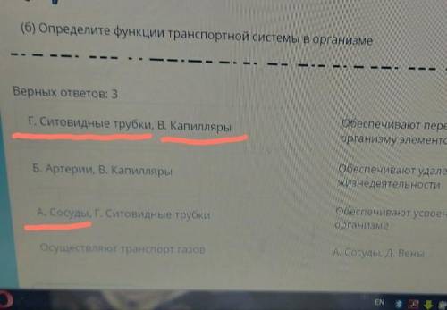 а) определите органы, принимающие участие в транспорте веществ у растений б) определите функции тран