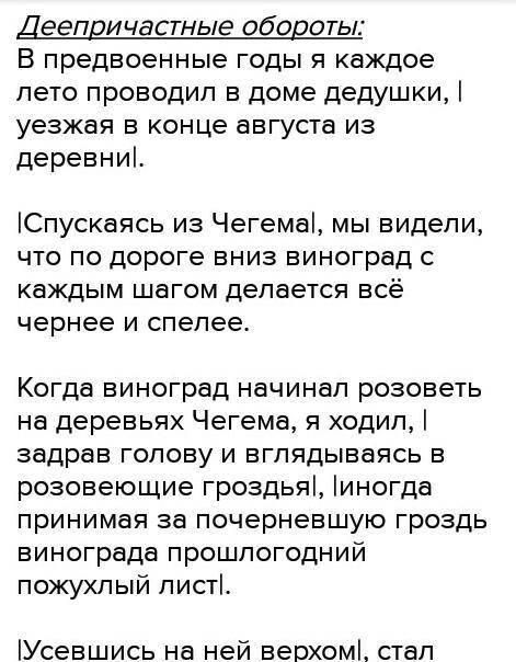 Дерево детства В предвоенные годы я каждое лето проводил в доме дедушки, уезжая в конце августа из д