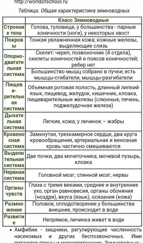 КРАТКИЙ КОНСПЕКТ ПО БИОЛОГИИ7 КЛАСС: АМФИБИИ​