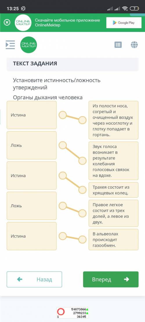 Установите истинность/ложность утверждений Органы дыхания человекаИз полости носа, согретый и очищен