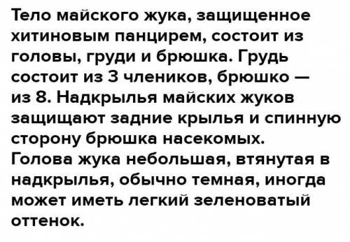 Напишите вывод о внешнем строении майского жука.