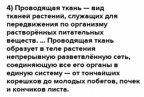 1.Почему листья зеленого цвета и какую функцию они выполняют для растения ? 2.Какую форму имеет лист