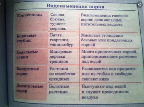 пожайлуста. видоизменение растения таблица. заранее