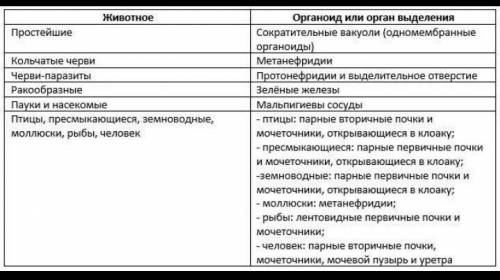 Органоиды и органы выделения у животных. ЖивотноеОрганоид или орган выделенияПростейшиеКольчатые чер