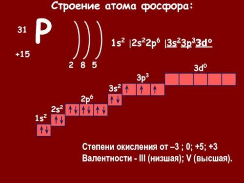 Нарисуйте строение фосфар​