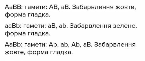 У гороху жовтий колір насіння (А) домінує над зеленим, гладка форма насіння (В) – над зморшкуватою,