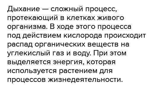 Определи верные и неверные утверждения о растениях. Утверждения Верно/Неверно Растения дышат с легк