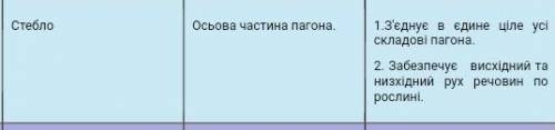 Осьовий орган,що з'єднує всі складові пагону​