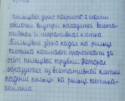 Каково строение пыльцы и каким изменениям цветок подвергается после его попадания на рыльце пестика