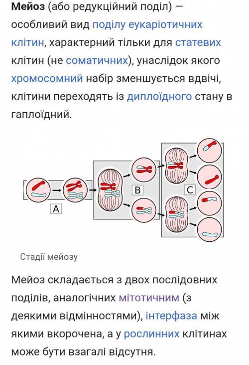 Поясніть, чому під час мітозу відбувається один поділі, а під час мейозу два поділи ?