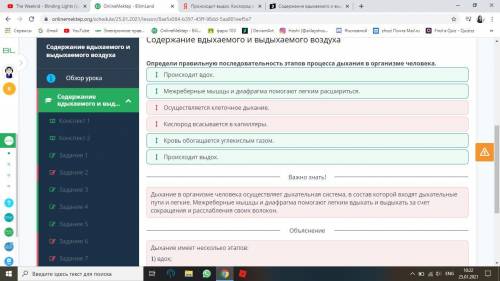 Содержание вдыхаемого и выдыхаемого воздуха Определи правильную последовательность этапов процесса д