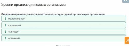 Определи правильную последовательность структурной организации организмов органный молекулярной ткан