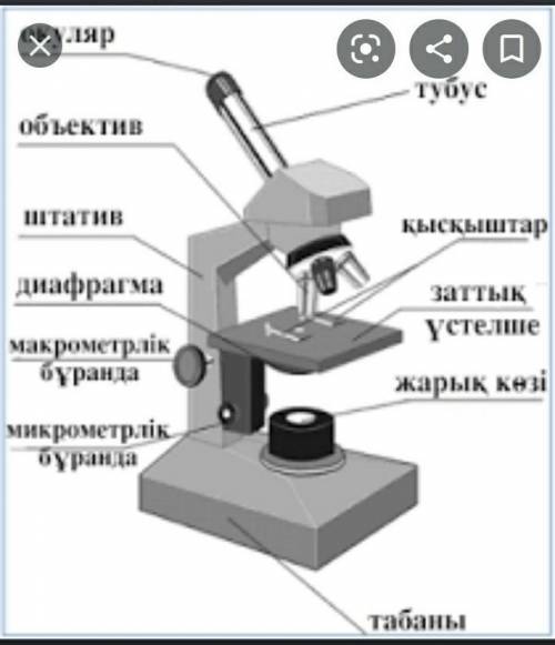 ЕСТЕСТВОЗНАНИЯ! ​