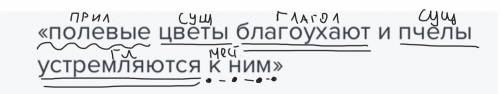 Синтаксический разбор предложения «полевые цветы благоухают и пчелы устремляются к ним»