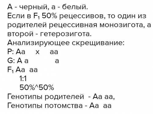 Скрестили двух черных гетерозиготных кроликов. Определить фенотипы и генотипы потомства.​