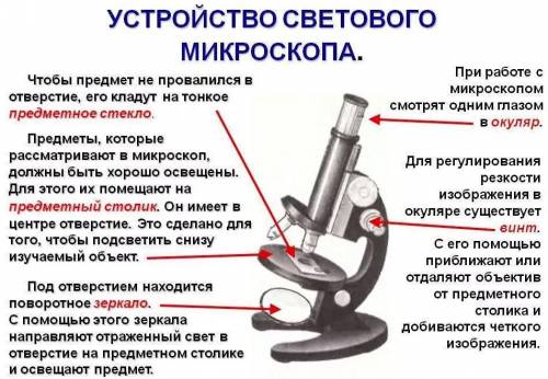 Микроскопические исследования живых организмов Соотнеси названия частей микроскопа с обозначениями н