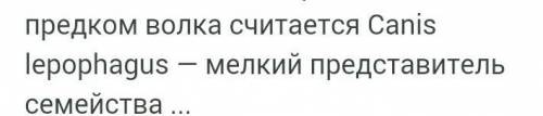 Таблица про хищных животных. 3-4 семейства 4 колонки: Семейство Представители Размеры Размножение(пи