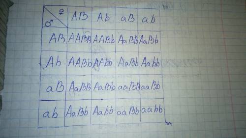 У человека карий цвет глаз доминирует над голубым, а лучше владеть правой рукой над леворукостью. Го