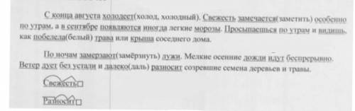 Русский язык 5 класс М. М. Разумовская упражнения номер 466​