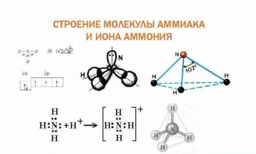 Изобразите строение молекулы аммиака и иона аммония.