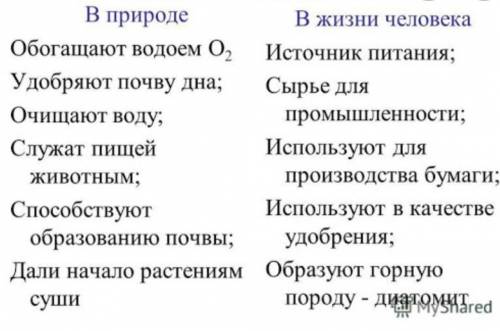 по биологии , нужно сделать класстер по теме водорослей в природе и жизни человека , кто ответить по