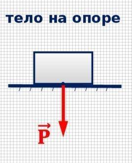 Чему равен вес тела массой 5 кг? Изобразите его графически​