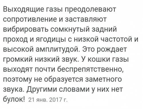 Почему коты пукаю