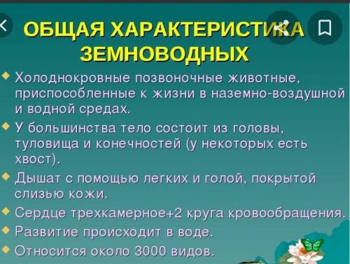 Общая характеристика земноводных