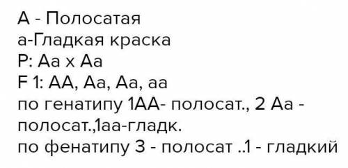 Решите Задачу - Зеленая окраска арбузов наследуется как доминантный признак. Какое потомство получит