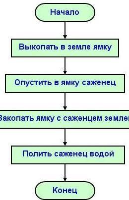 Линейный алгоритм с информатикой