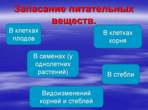 Как происходит и где происходит запасание питательных веществ?​