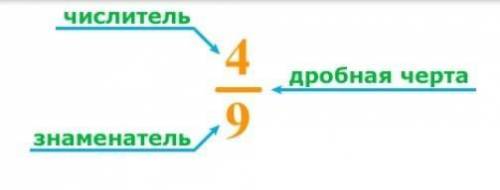 Что мы можем передать числительными?