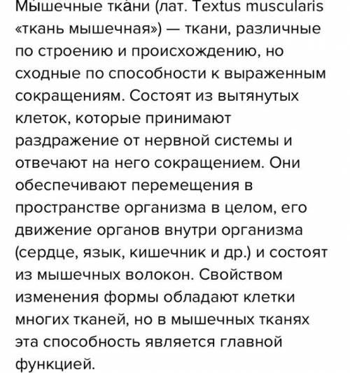 Как соотносятся понятия: миоцит, мышечное волокно, гладкая мышца, поперечнополосатая мышечная ткань?