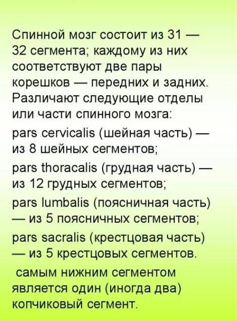 Отметь характеры спинного мозга​