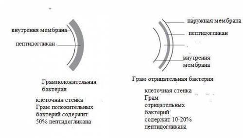 решить f(x)=33/27*391 and the facts and the words of God that we have eve.​