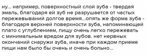 В чем проявляется соответствие строения зуба и его функции?