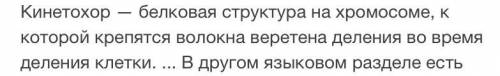 У кого есть веретено деления? ​