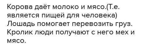 7. Заполните таблицу.Польза для человекаДомашние животные​