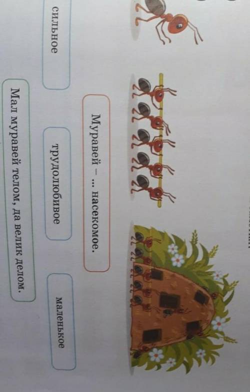 4.Составь кластер. Выбери слова, которые характеризуют муравьёв.​