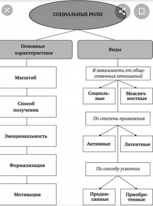 Социальные роли личности​