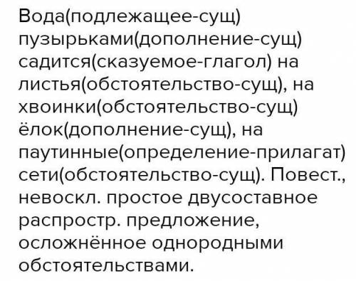 Схема к предложению вода пузырьками садится на листья, на хвоинки ёлок, на паучиные сети