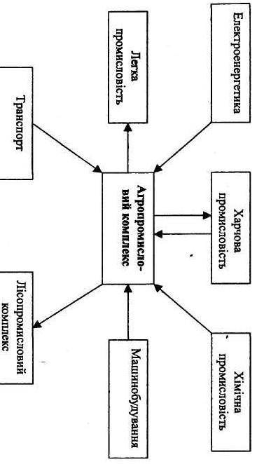 13.Розкрийте взаємозв'язки харчової промисловості з іншими галузями господарства.​