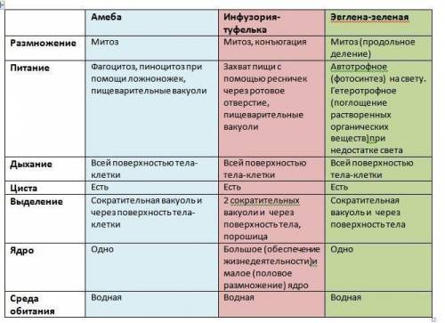 Амеба инфузория эвглена