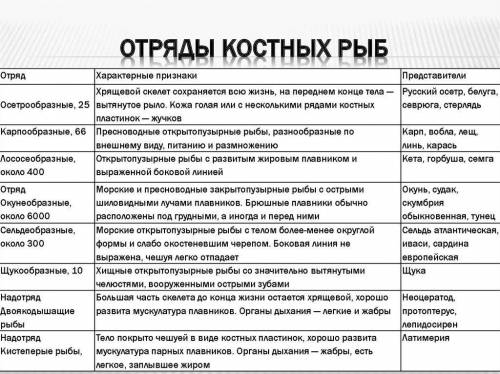 Нужно выписать несколько отрядов рыб, их представителей и особенности.