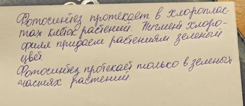 Рассмотрите различные пигменты хлорофитума на рисунке ниже Б. Сделайте вывод , при каких условиях пр